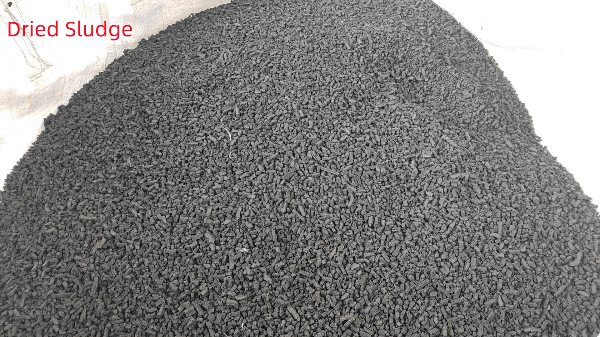 dried sludge.2.jpg